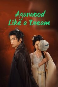 Agarwood Like a Dream ‎ (2024)